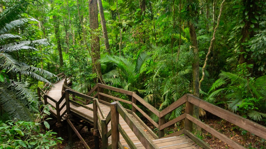 Jindalba Boardwalk