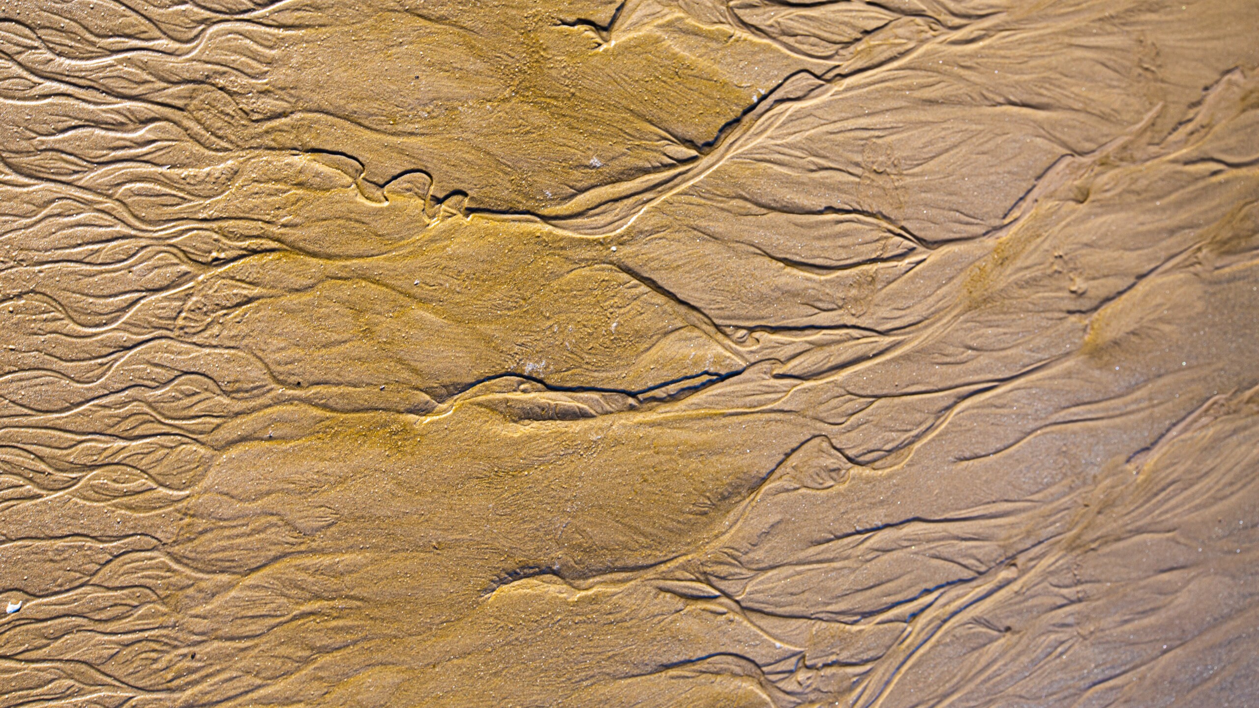 Clifton Beach featuring a beach