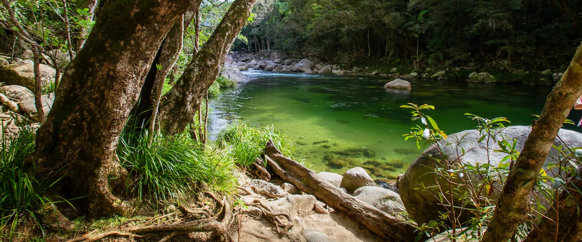 Mossman Gorge showing a river or creek