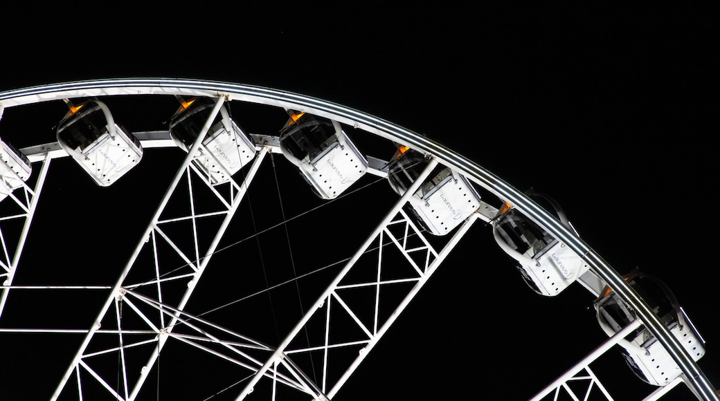 Wheel of Brisbane featuring night scenes and views