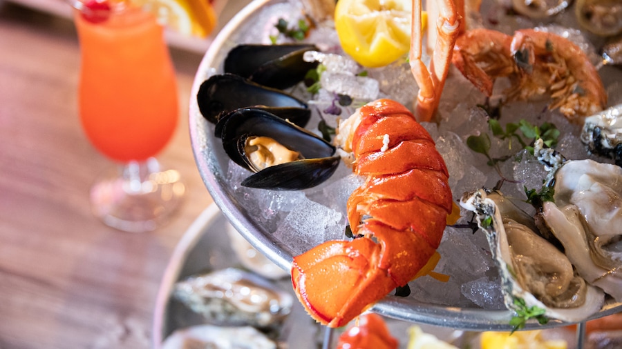 Siesta Key showing food and dining out