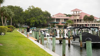 Osprey showing a bay or harbor and a park