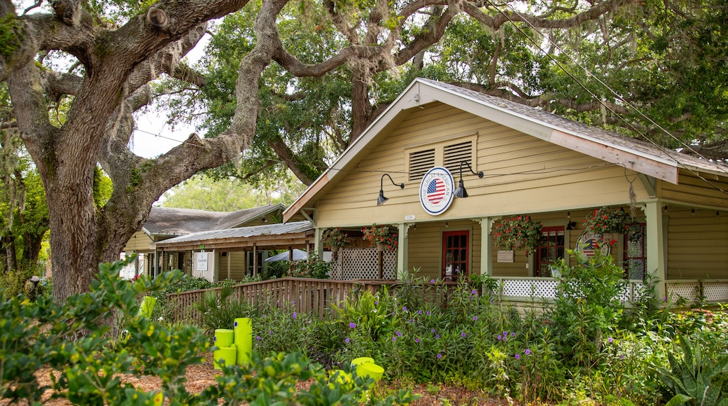 Ozona showing a house