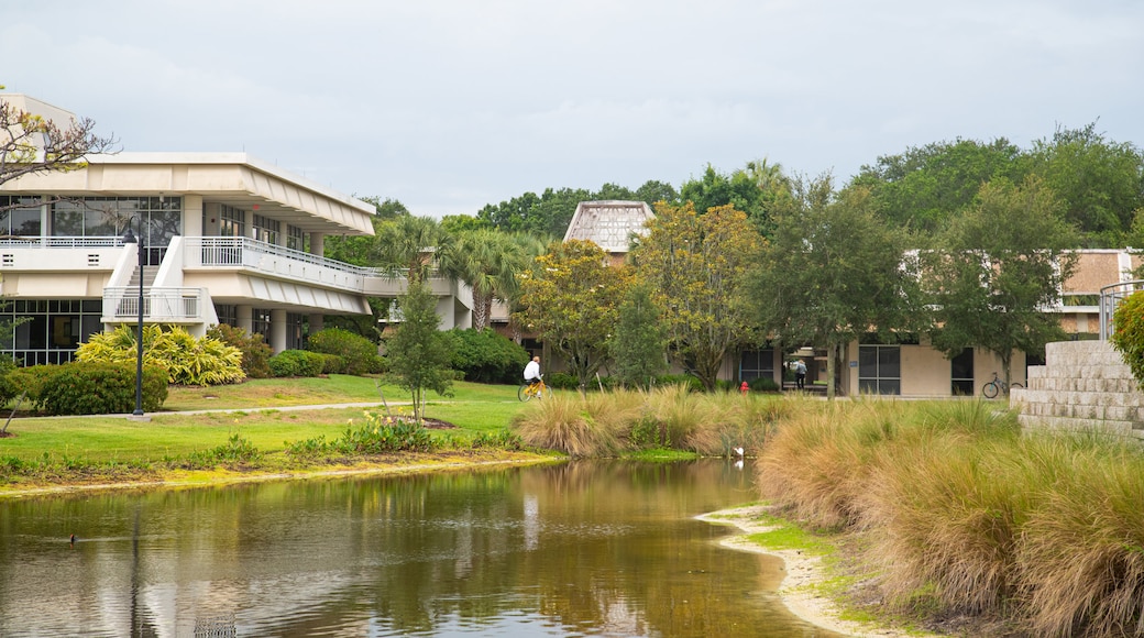 Eckerd College