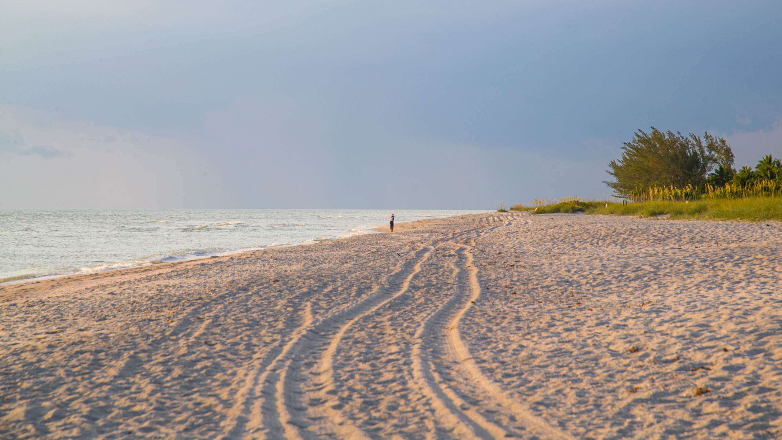 Visit Captiva: Best of Captiva Tourism  Expedia Travel Guide