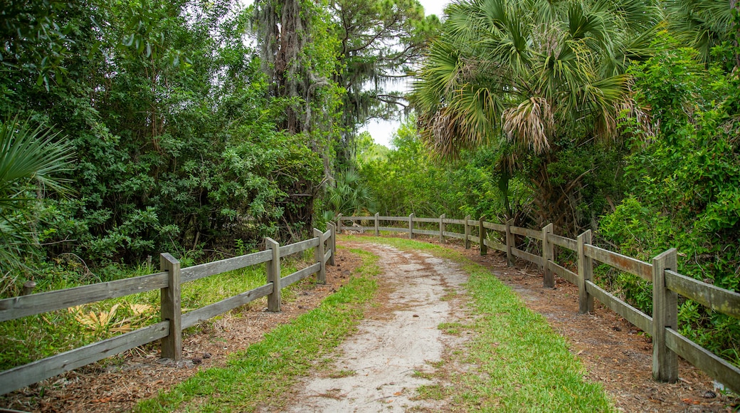 Legacy Trail showing a garden