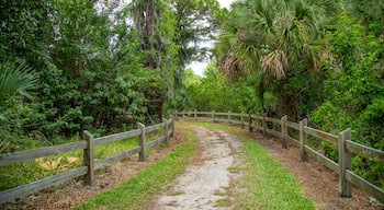 Legacy Trail showing a garden