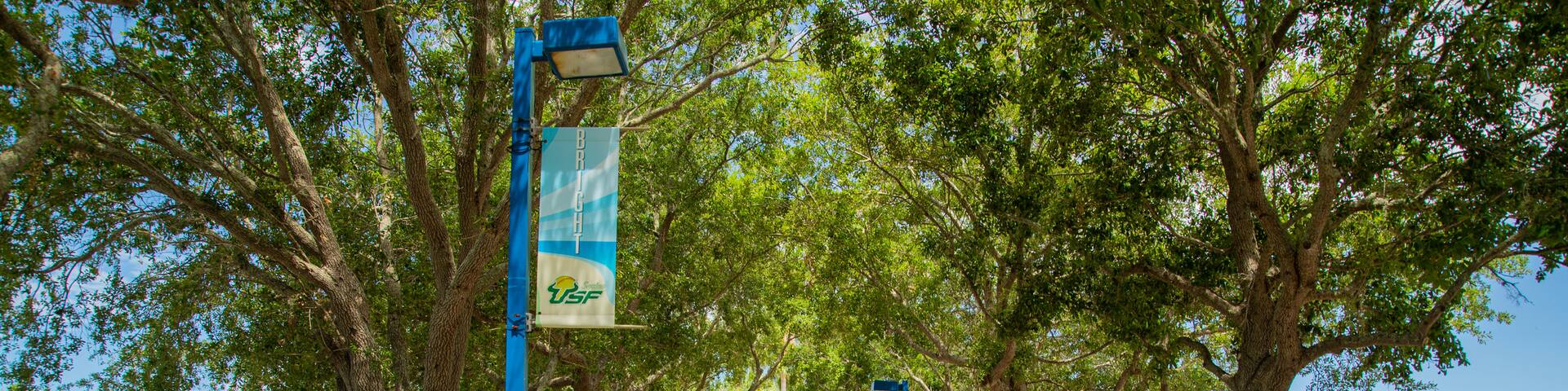 Eddie C. Moore Softball Complex showing a garden