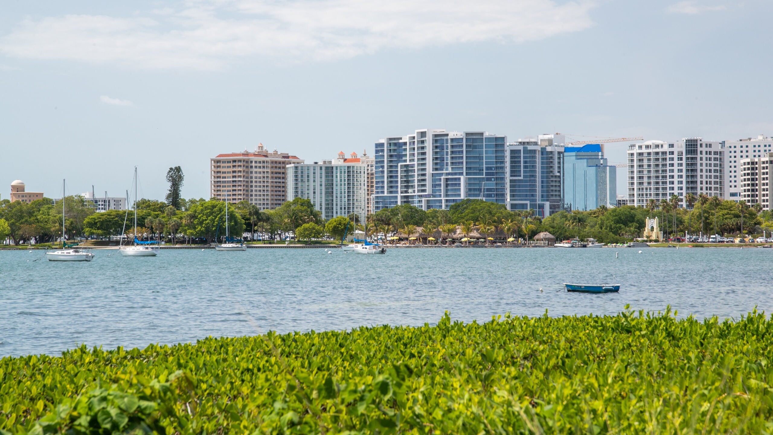 Marie Selby Botanical Gardens, Sarasota Vacation Rentals house rentals