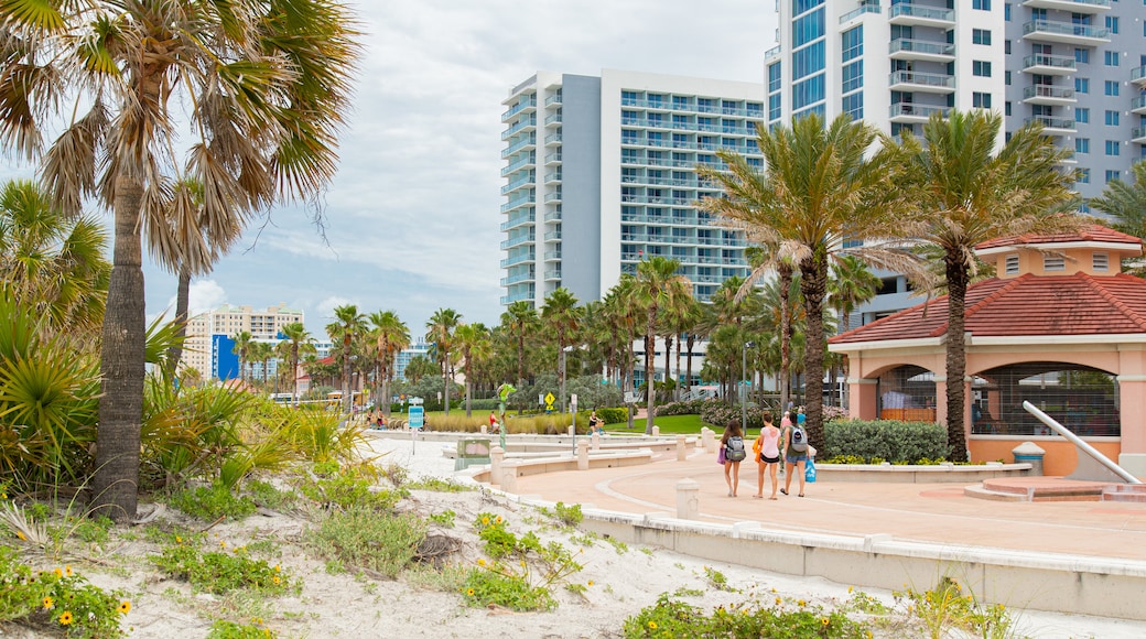 Playas de San Petersburgo a Clearwater