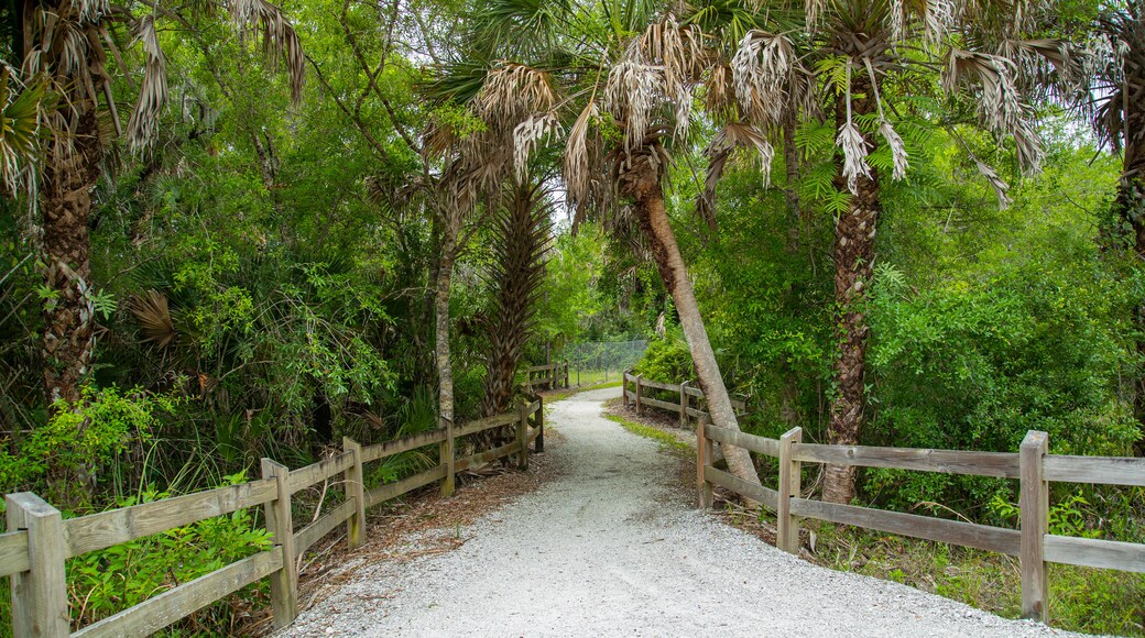 Venice Gardens showing a park