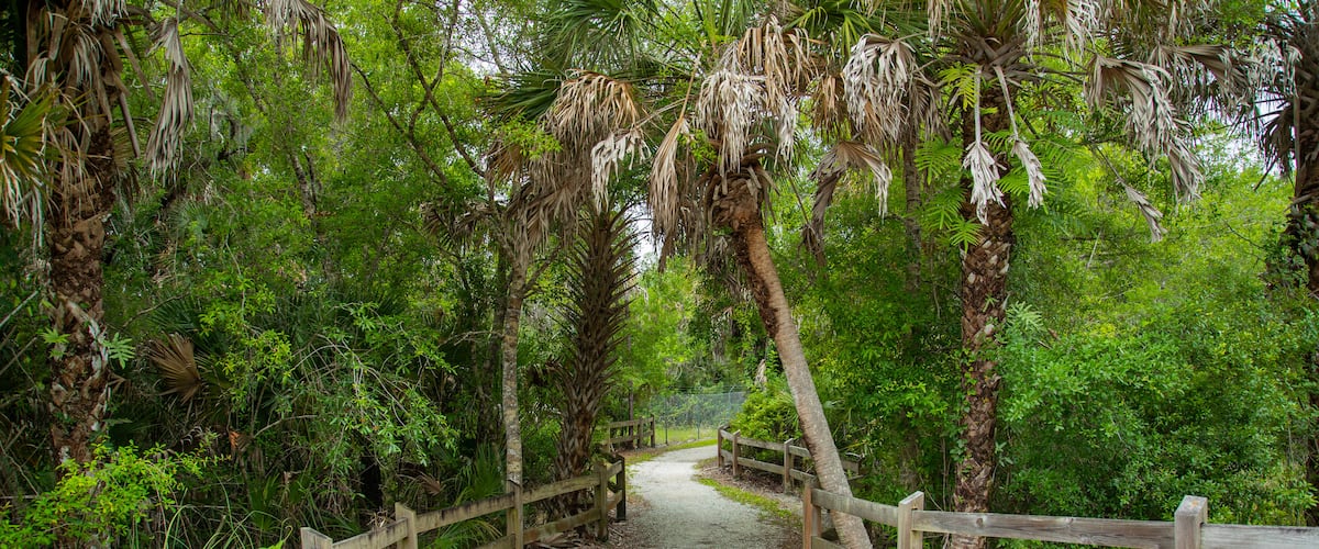 Venice Gardens showing a park