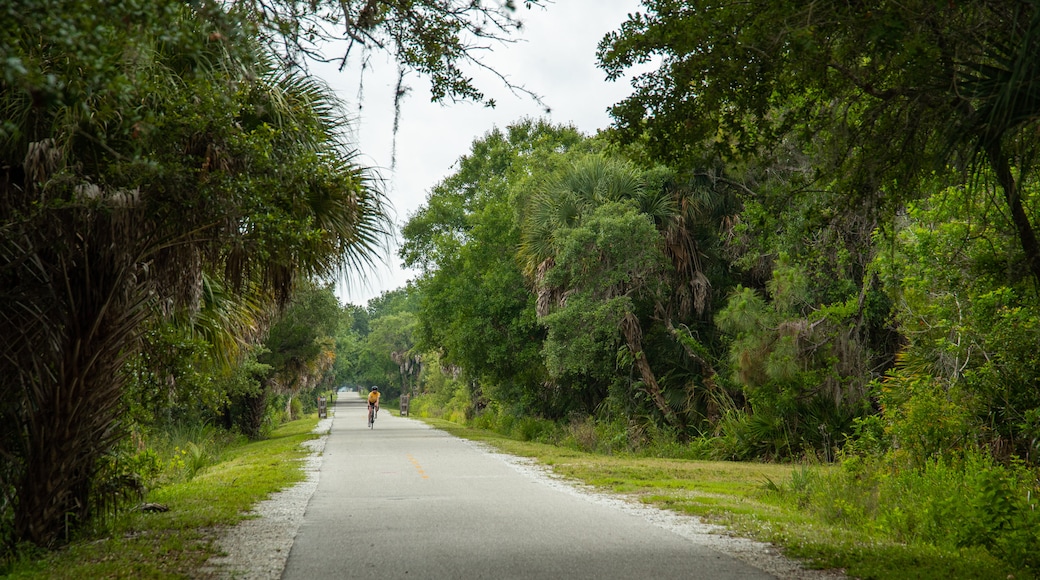 Legacy Trail showing a park and cycling