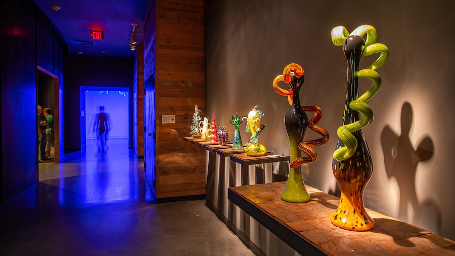 Chihuly Collection