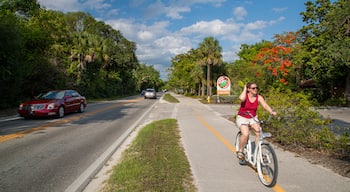 Periwinkle Way featuring cycling as well as an individual femail