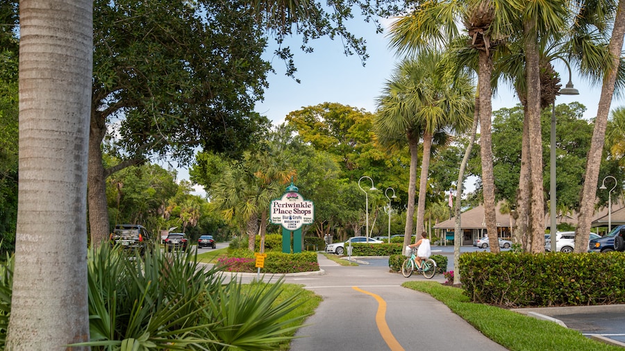 Periwinkle Way