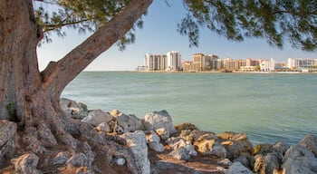 Clearwater Beach featuring general coastal views and a coastal town