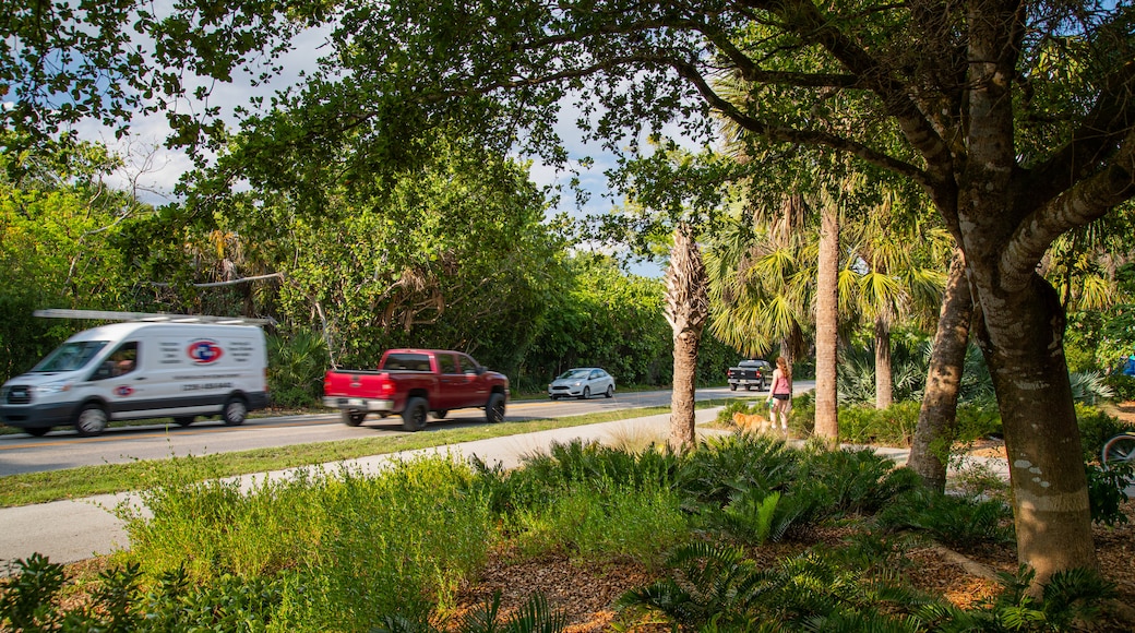 Periwinkle Way featuring a park