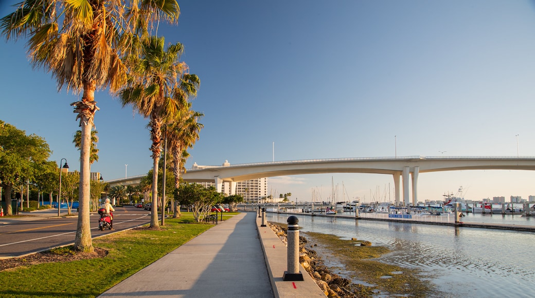 Clearwater which includes a sunset, a river or creek and a bridge