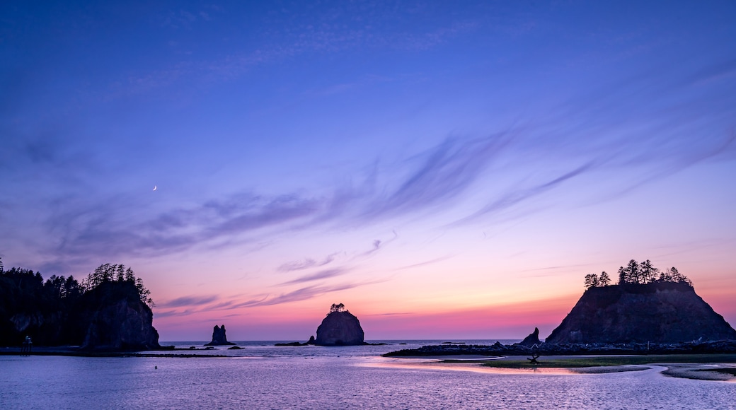 La Push Beach