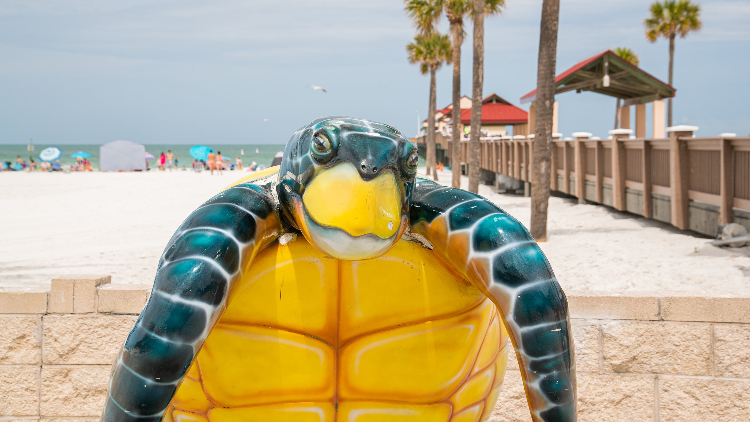 Visita Parque Pier 60 en San Petersburgo-Clearwater - Tours \u0026 Actividades |  Expedia.com, image size:2560x1440