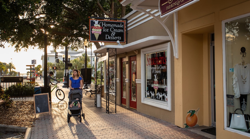 Centro di Dunedin