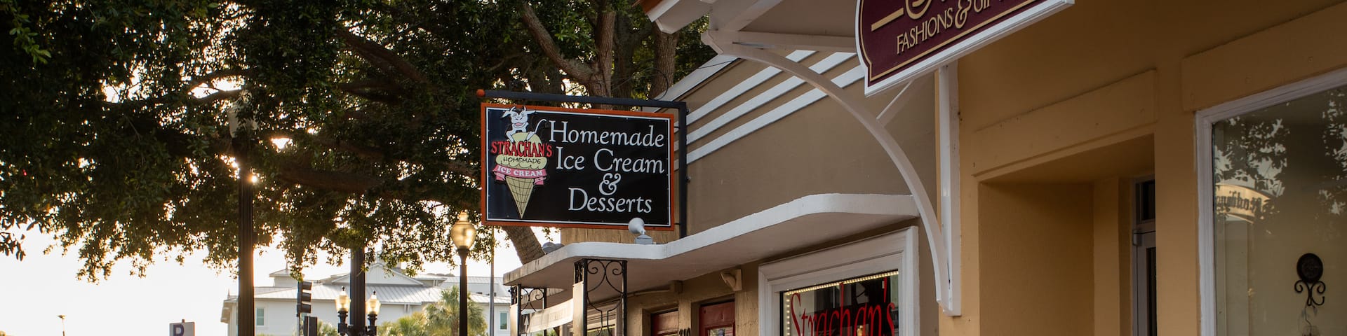 Downtown Dunedin showing signage and street scenes as well as an individual femail
