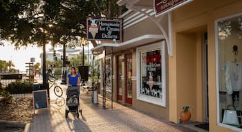 Downtown Dunedin showing signage and street scenes as well as an individual femail