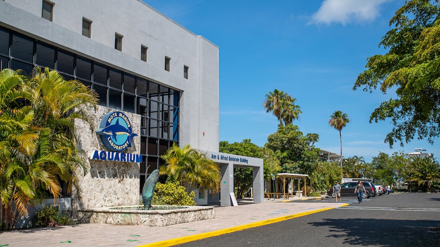 Acquario Mote Marine Laboratory & Aquarium