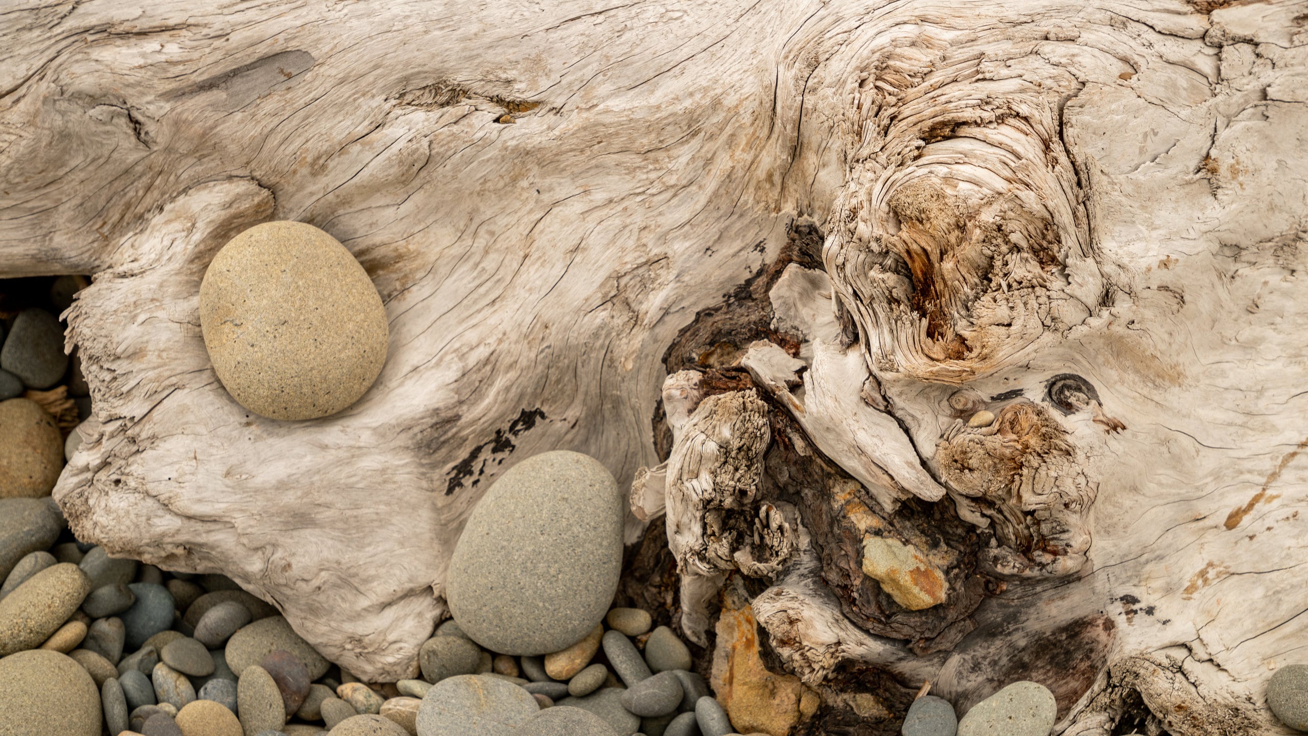 Where to Stay in La Push Best neighborhoods Expedia