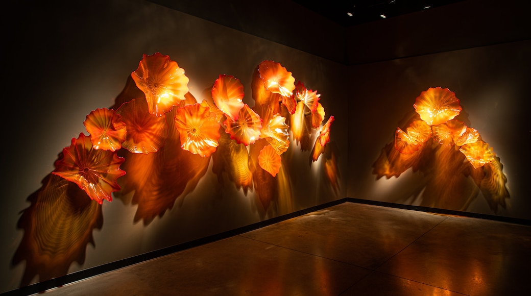 Chihuly Collection