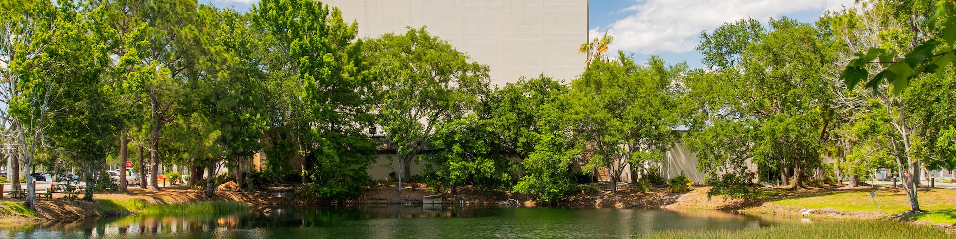 Barbara B Mann Hall featuring a pond