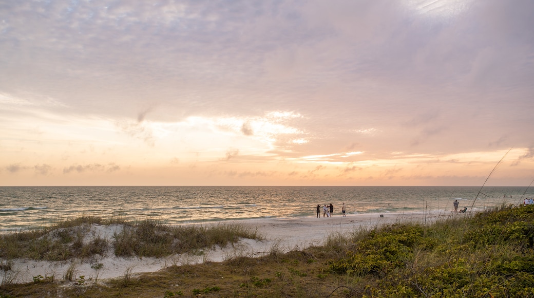 Treasure Island featuring a sunset and general coastal views