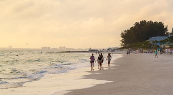 Treasure Island which includes a beach and general coastal views