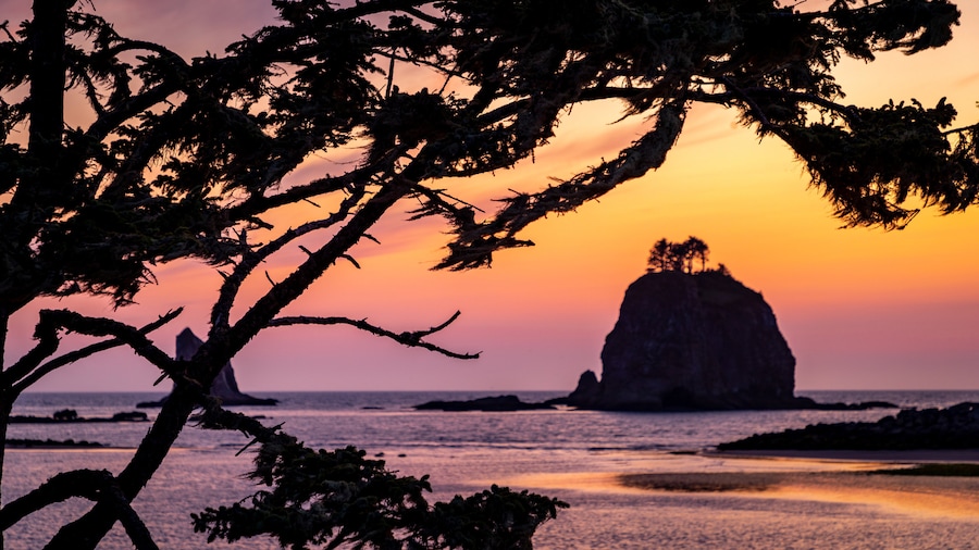 La Push Beach