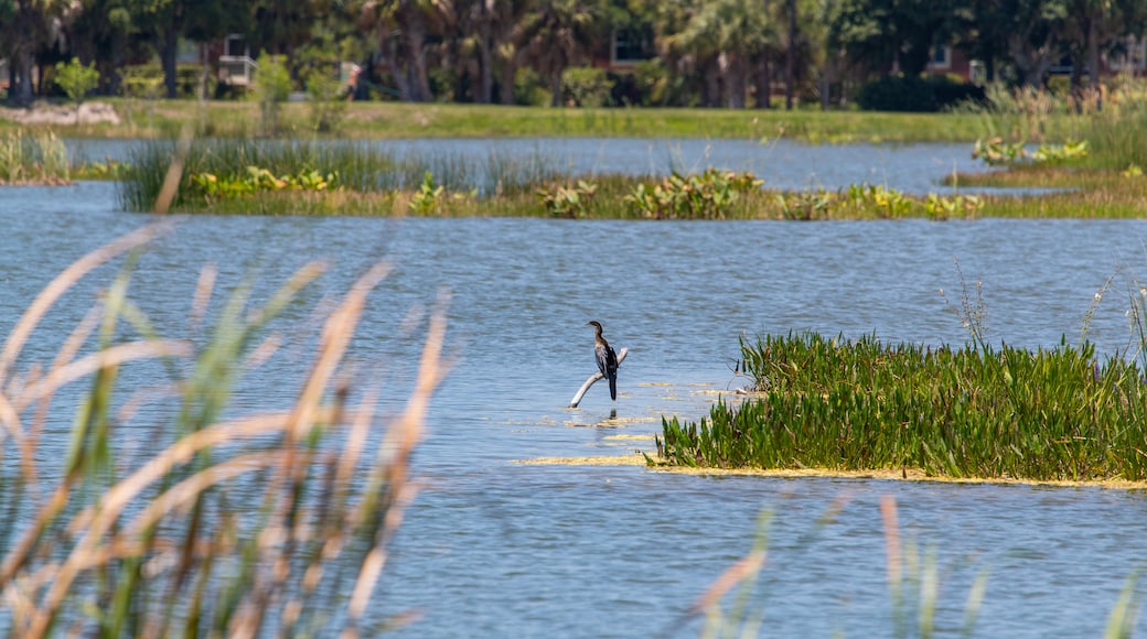 Lakes Regional Park