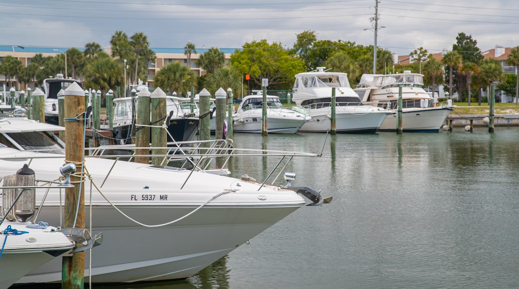 Tierra Verde featuring a bay or harbor