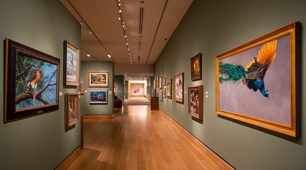 The James Museum of Western & Wildlife Art showing art and interior views