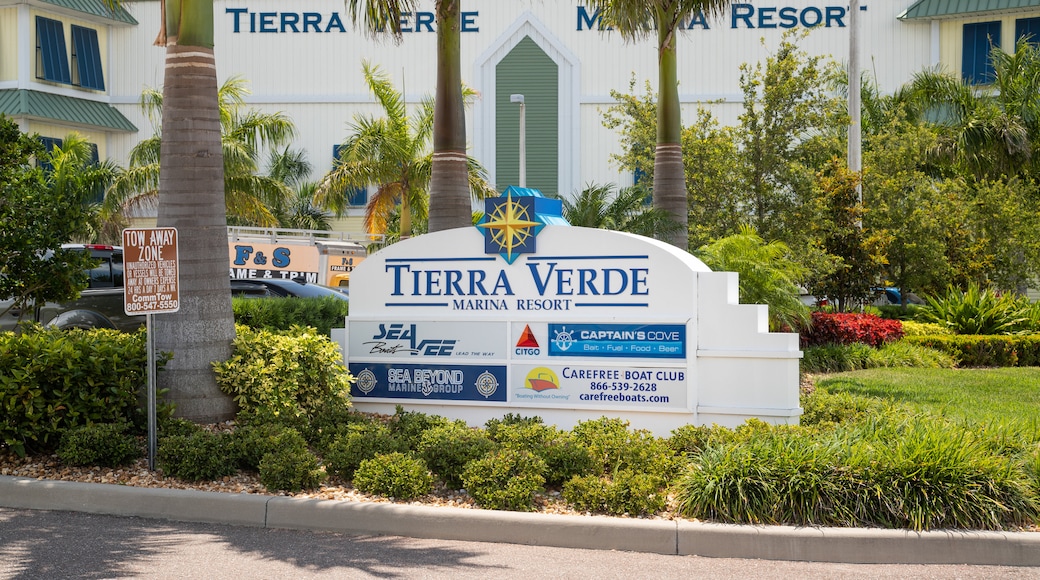 Tierra Verde showing a garden and signage