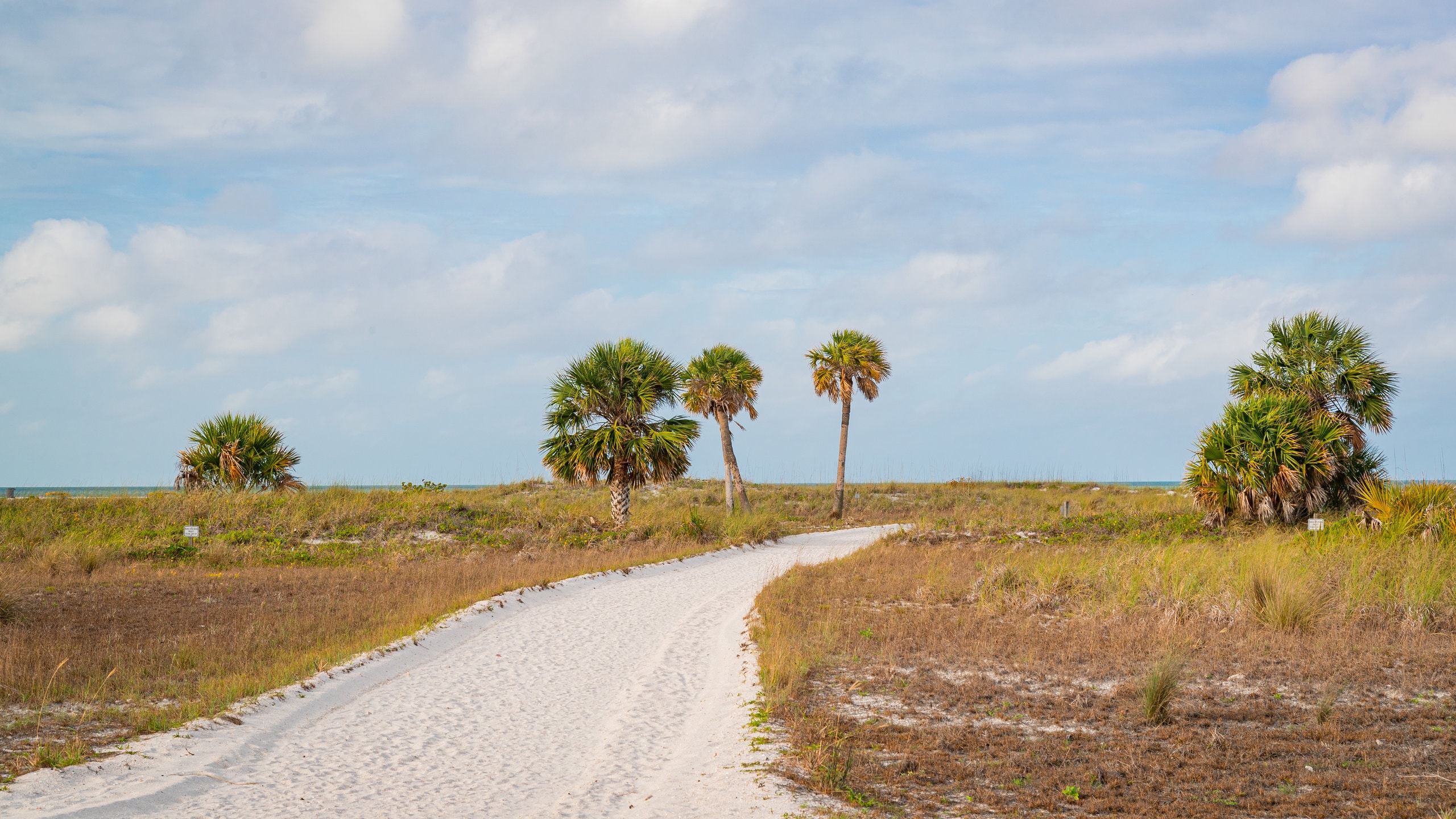 Treasure Island showing a sandy beach