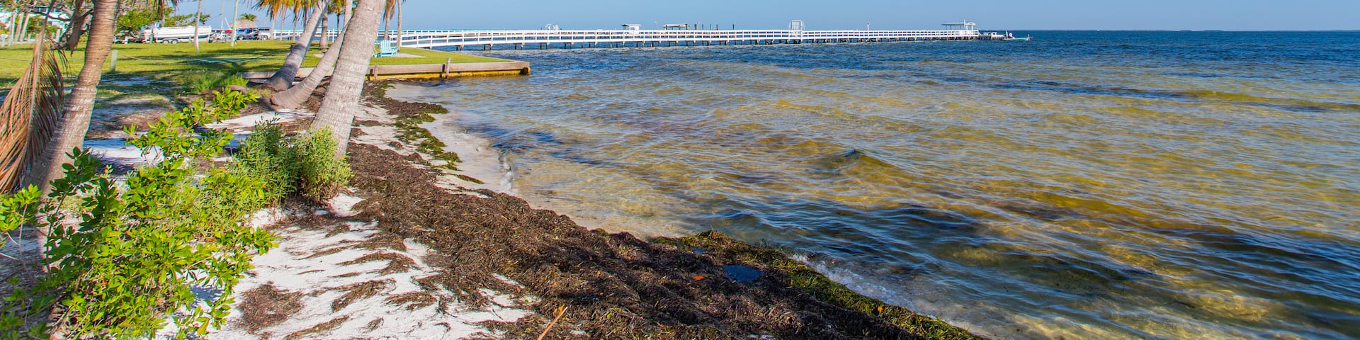 Bokeelia, Florida, Estados Unidos