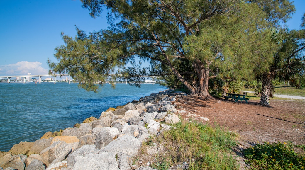 Sand Key Park showing a river or creek and a park