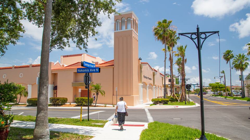 Venice Theater which includes street scenes as well as an individual femail