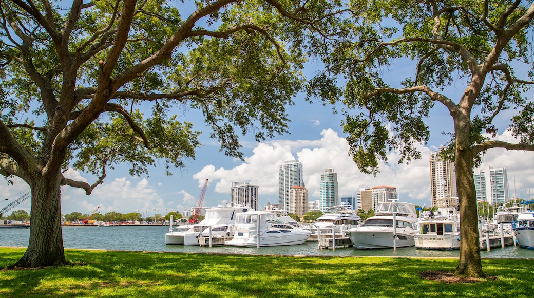 Vinoy Park showing a park and a bay or harbor