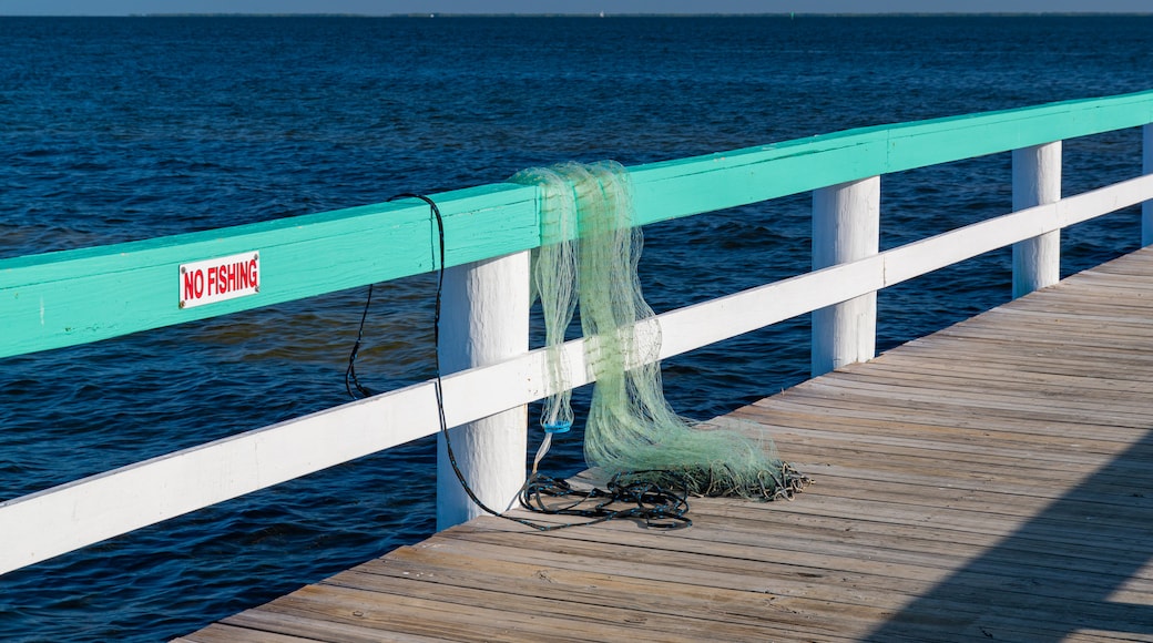 Bokeelia featuring general coastal views