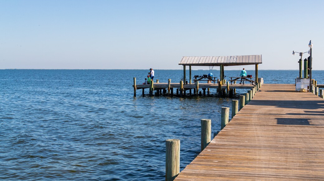 Bokeelia featuring fishing and general coastal views