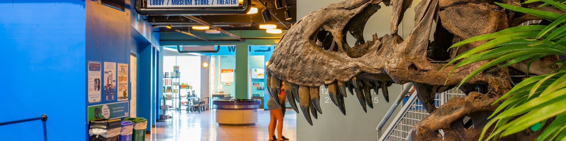 Imaginarium Hands - On Museum showing heritage elements and interior views