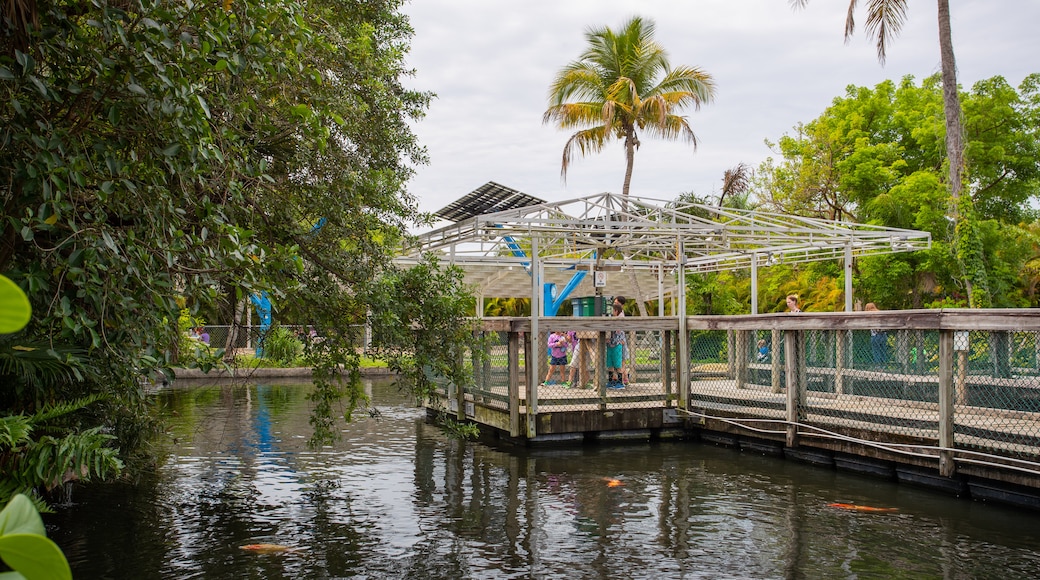 Imaginarium Hands - On Museum featuring a pond