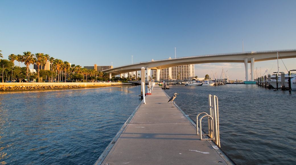 Coachman Park
