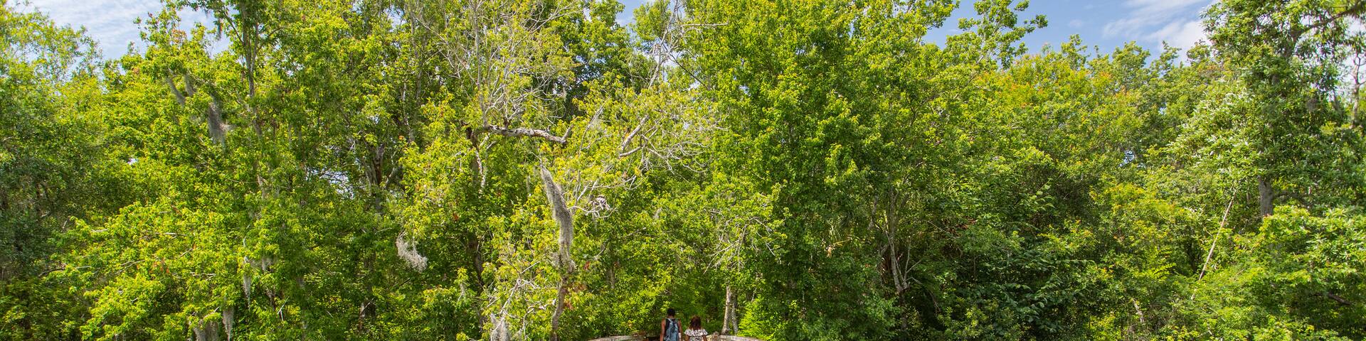 Sawgrass Lake Park featuring a bridge as well as a couple